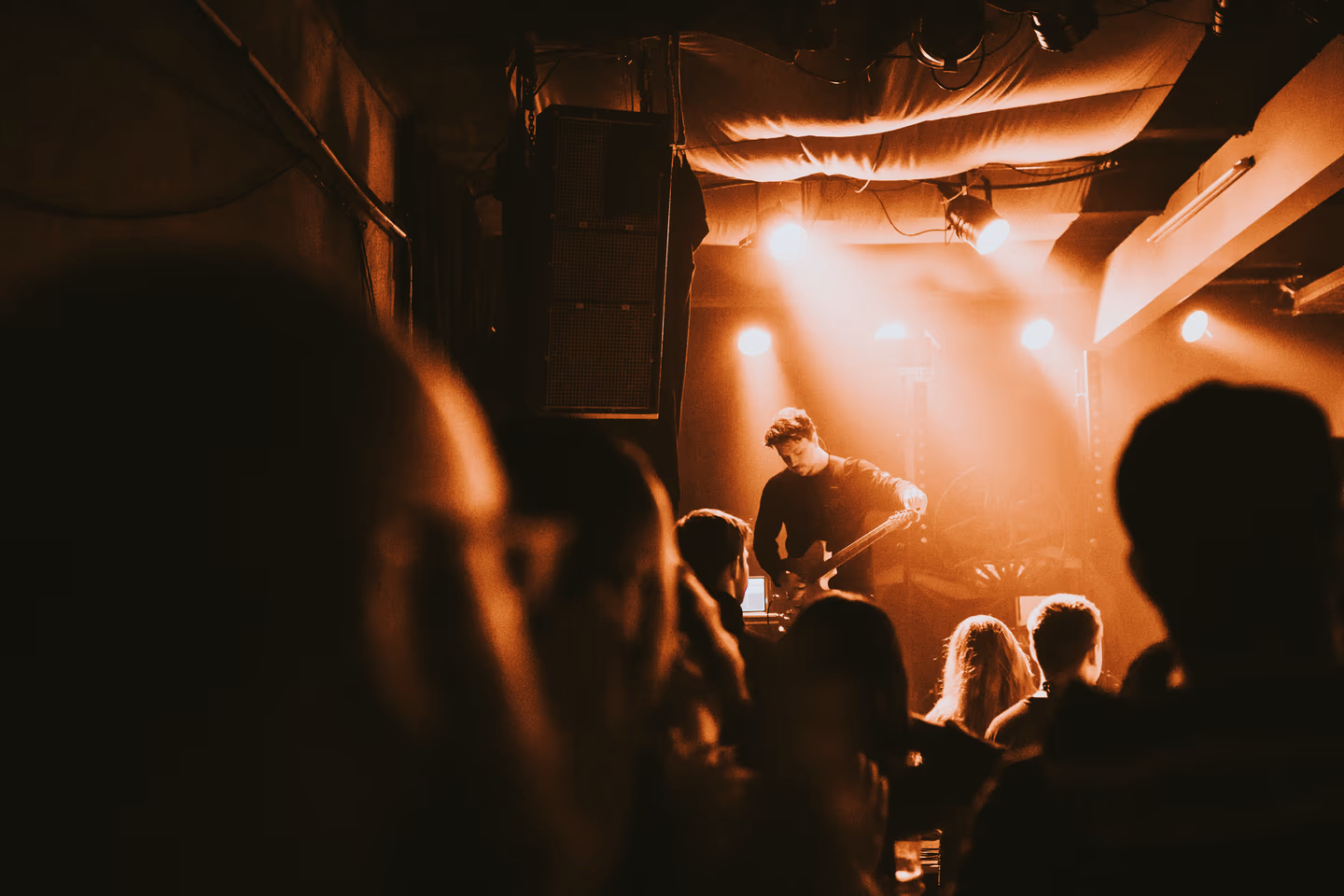 Live music, from the front bar to the main stage on EventLinqs